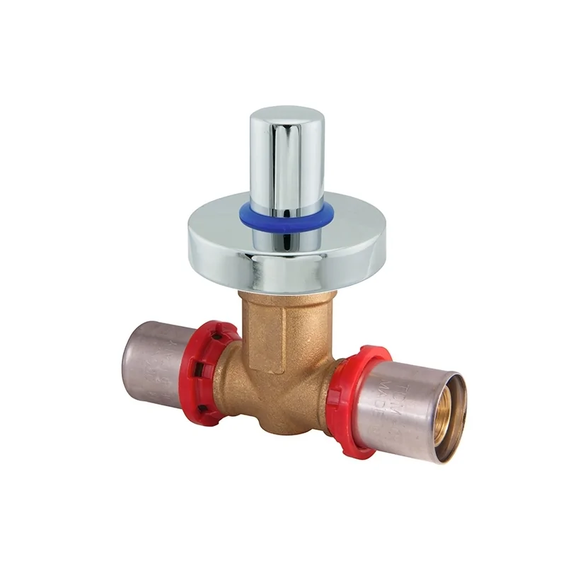 Valvola a Vitone da Incasso con Tappo e Rosone